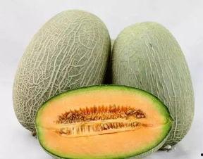 冰冻哈密瓜吃货视频大全,哈密瓜美食视频盛宴