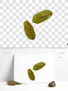 吃猫屎瓜的视频素材下载,奇特美食背后的故事与下载攻略