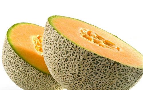 女猴吃哈密瓜视频播放,萌态十足引网友热议