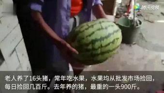 现在吃瓜视频哪里看,吃瓜视频，热门平台大汇总