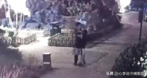 日照东港吃瓜事件视频曝光,视频曝光揭示惊人真相