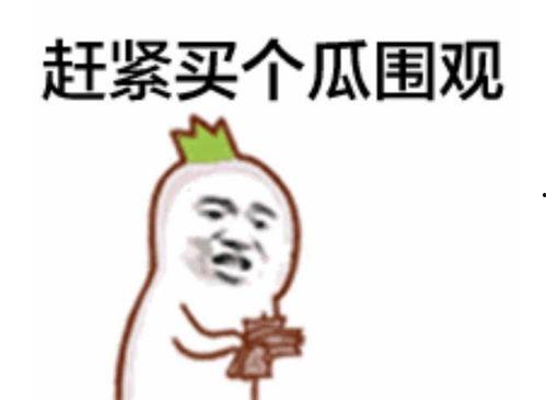 吃瓜群众李大野视频全集