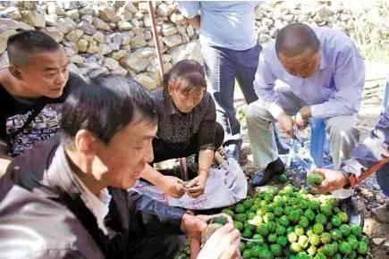 徽县吃瓜事件视频最新情况,最新视频揭露惊人内幕，真相大白！