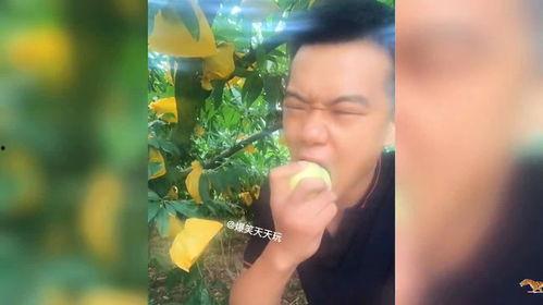 沙漠吃瓜搞笑视频合集