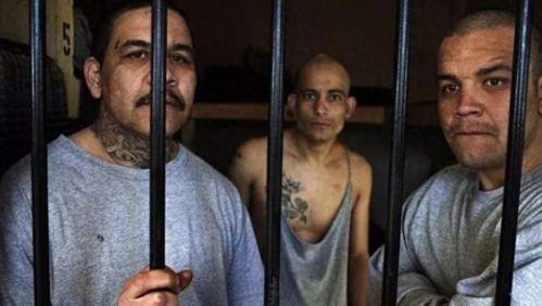 探长吃瓜猛男视频大全集,揭秘猛男视频大全集背后的故事