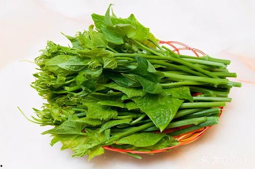 瓜尖怎么吃才好吃视频,解锁夏日清新口感